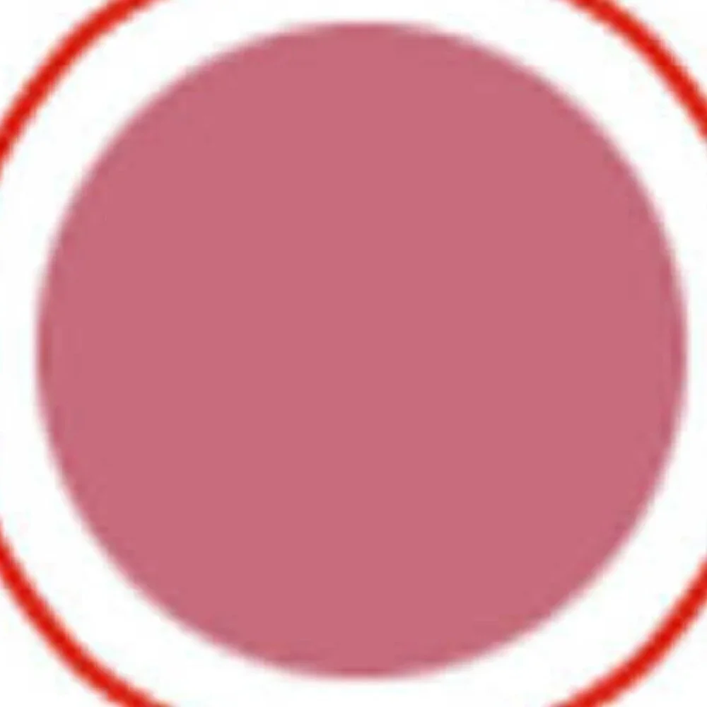 Belle Beauty Kisser Fixer Lip Gloss in Mauve Nude - Brand new - Full Size